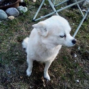 Meet your Posher, Edward